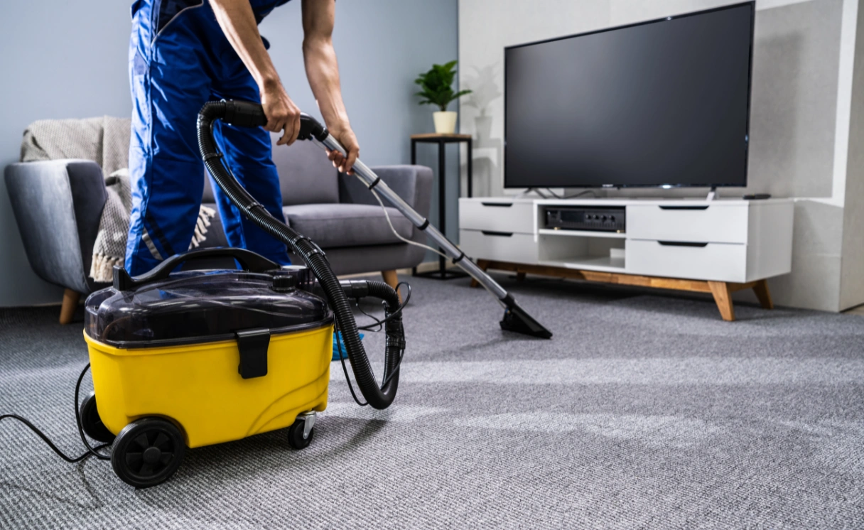 Extract Carpet Cleaning St Leonards Contact Office